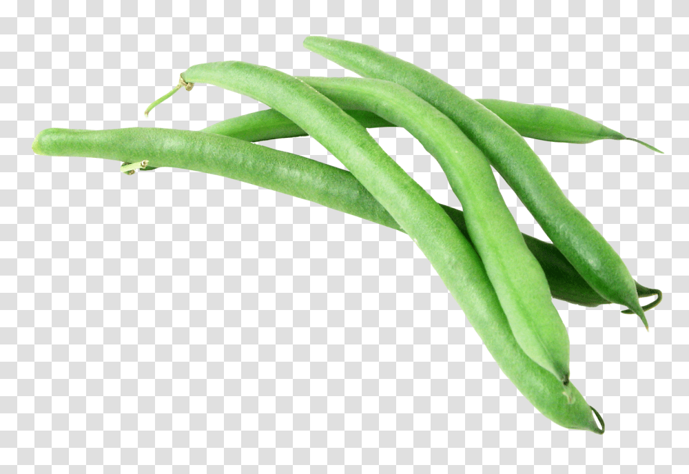 Green Bean, Vegetable, Plant, Produce, Food Transparent Png