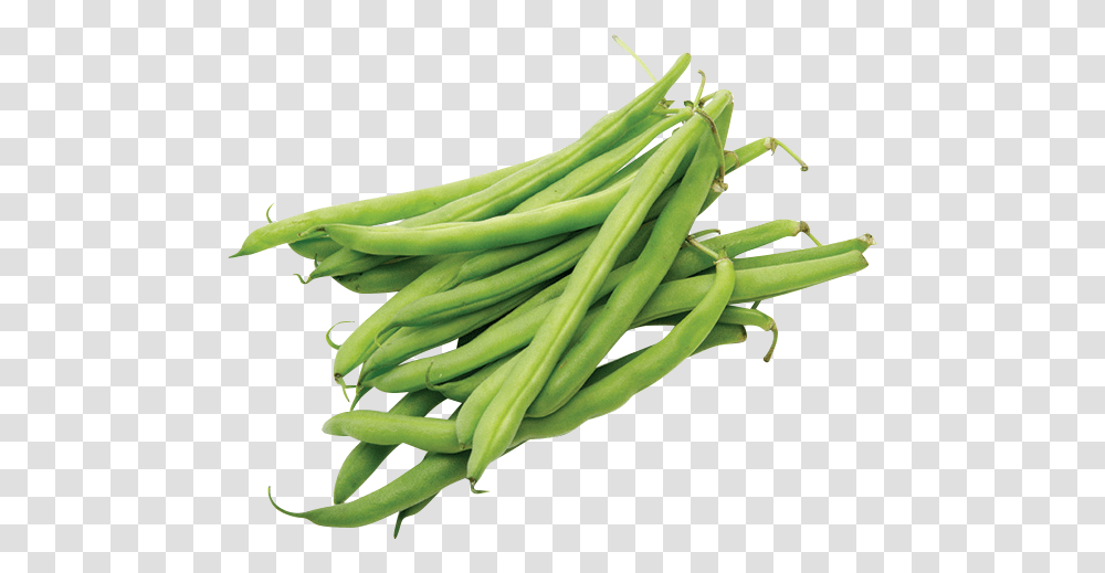 Green Beans 1 LbData Rimg LazyData Rimg Scale Haricots, Plant, Vegetable, Food, Produce Transparent Png