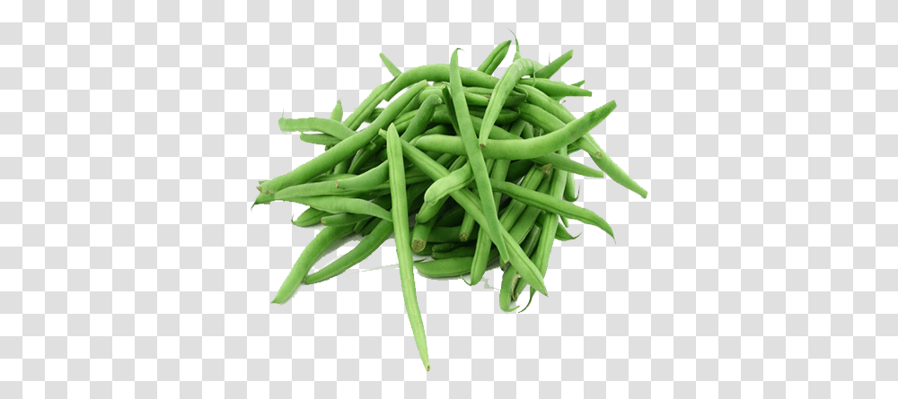 Green Beans 500 Grams, Plant, Vegetable, Food, Produce Transparent Png