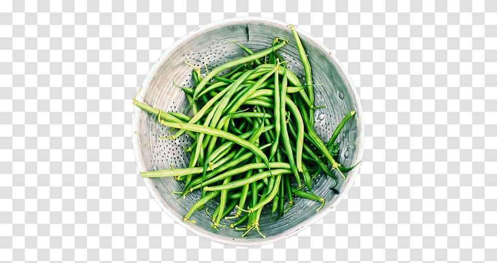 Green Beans Bowl Green Bean, Plant, Produce, Food, Vegetable Transparent Png