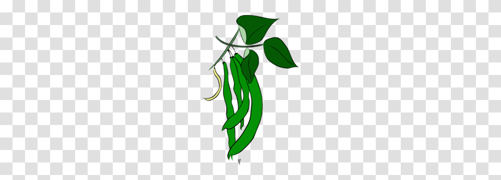 Green Beans Clip Art, Plant, Flower, Blossom, Snake Transparent Png