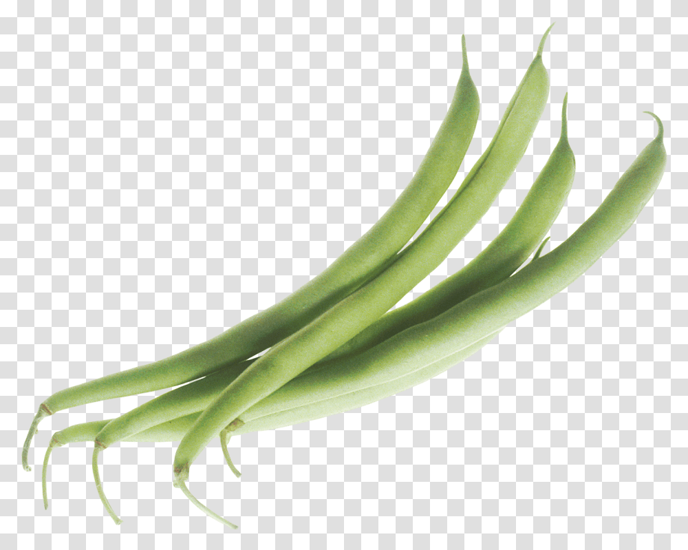 Green Beans Clip Art, Plant, Vegetable, Food, Produce Transparent Png