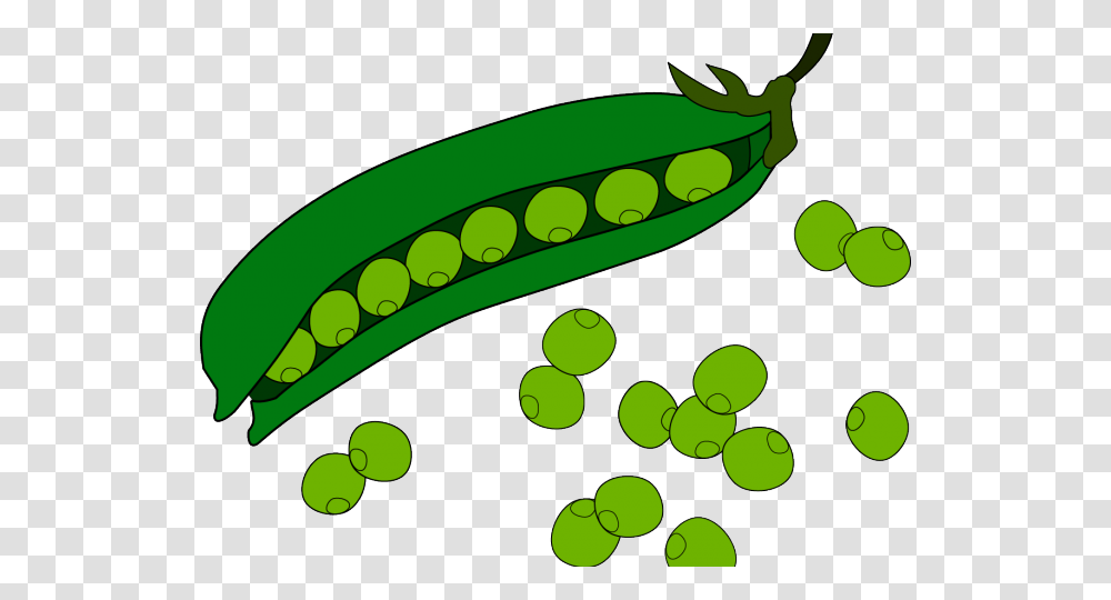 Green Beans Clipart Green Beans Clipart, Plant, Pea, Vegetable, Food Transparent Png