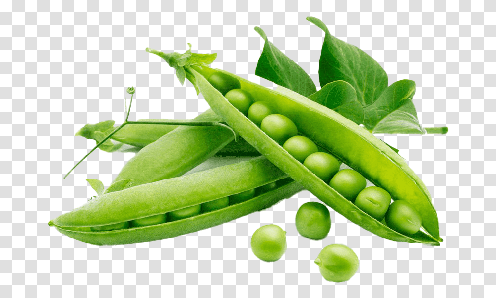 Green Beans Download Image Peas Rich In Protein, Plant, Vegetable, Food Transparent Png