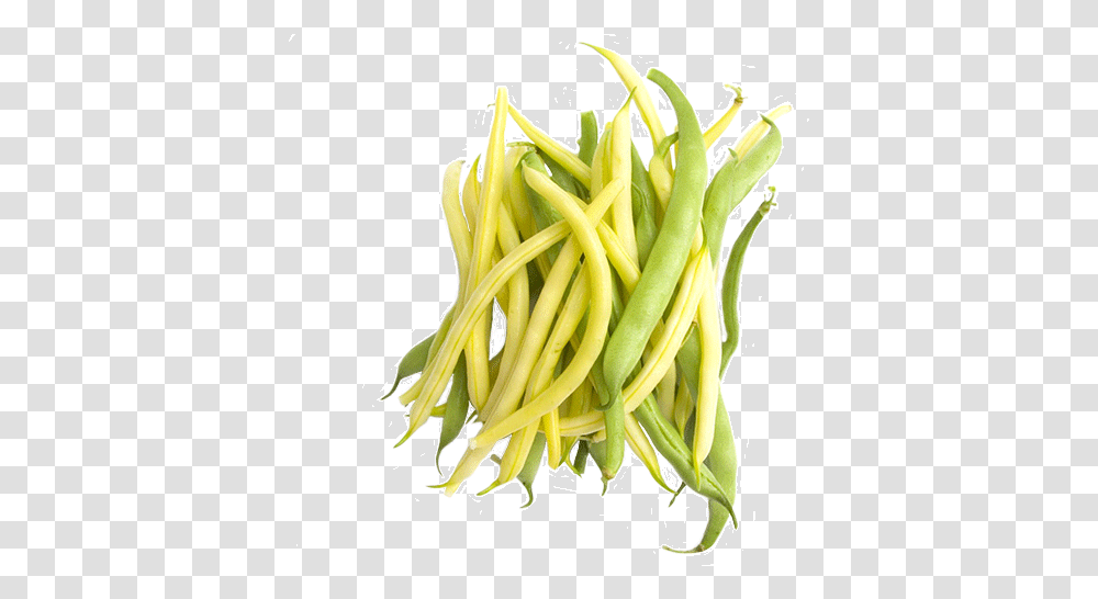 Green Beans Eatnakedla Yellow Green Beans, Plant, Banana, Fruit, Food Transparent Png