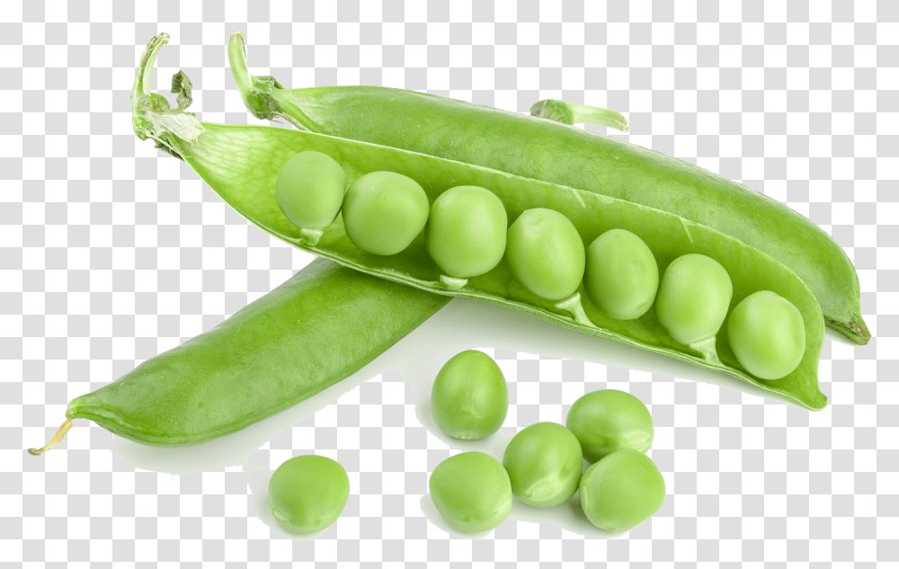 Green Beans Green Bean Transparent Png