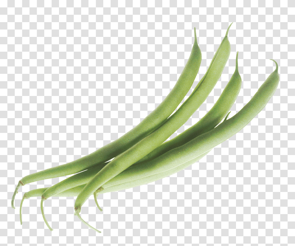 Green Beans Image Green Beans, Plant, Vegetable, Food, Produce Transparent Png