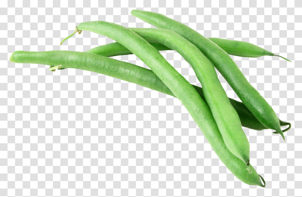 Green Beans Image Green Beans, Plant, Vegetable, Food, Produce Transparent Png