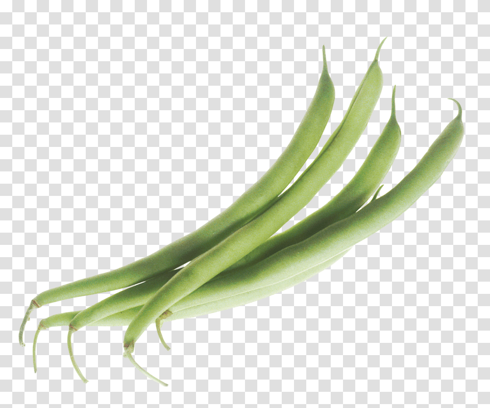 Green Beans Image, Vegetable, Plant, Food, Produce Transparent Png