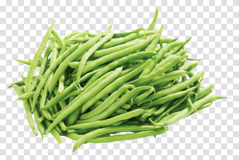 Green Beans, Plant, Vegetable, Food, Produce Transparent Png