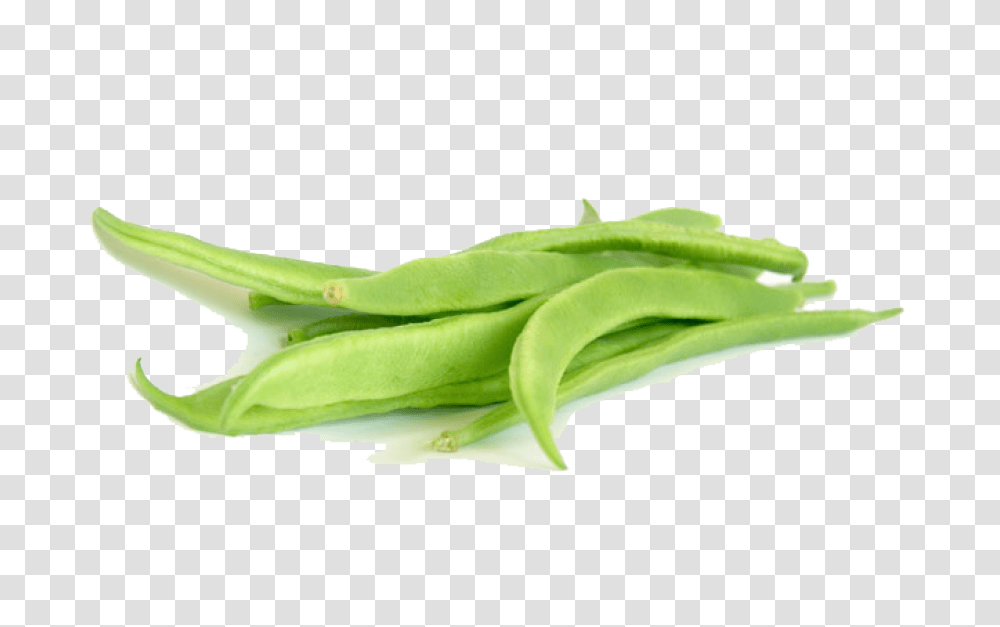 Green Beans, Plant, Vegetable, Food, Produce Transparent Png