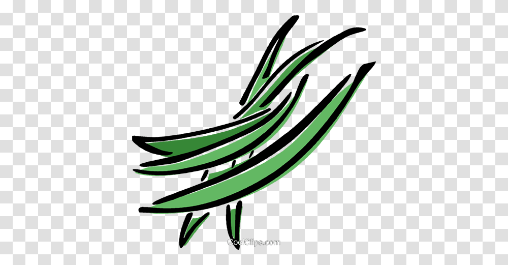 Green Beans Royalty Free Vector Clip Art Illustration, Plant, Bird, Animal, Produce Transparent Png