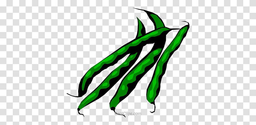 Green Beans Royalty Free Vector Clip Art Illustration, Plant, Vegetable, Food, Bird Transparent Png