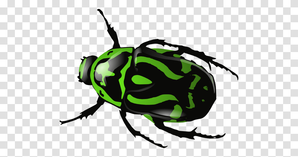 Green Beetle Clip Art, Animal, Insect, Invertebrate, Amphibian Transparent Png