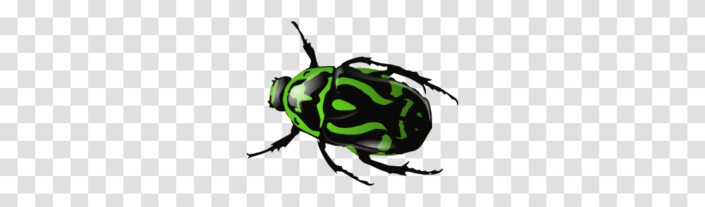Green Beetle Clip Art Free Vector, Animal, Insect, Invertebrate, Amphibian Transparent Png