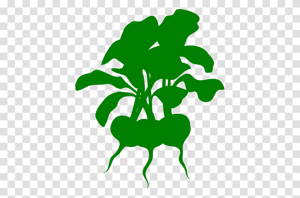 Green Beets Clip Art, Plant, Flower, Blossom, Stencil Transparent Png