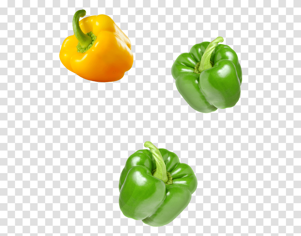 Green Bell Pepper Download Green Bell Pepper, Plant, Vegetable, Food Transparent Png