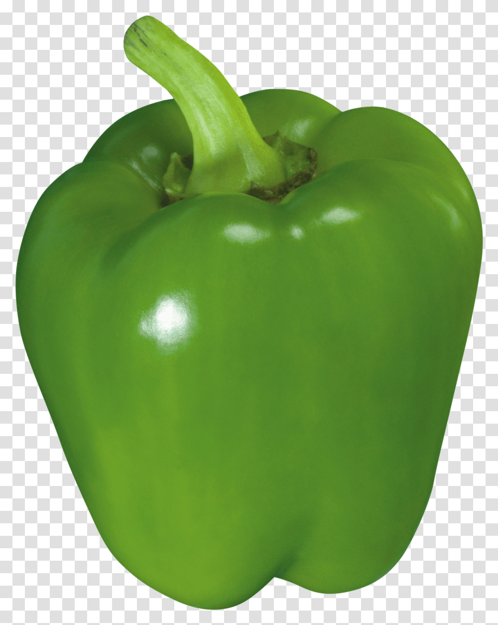 Green Bell Pepper Green Paprika, Plant, Tennis Ball, Sport, Sports Transparent Png