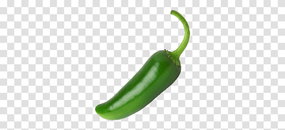 Green Bell Pepper, Plant, Vegetable, Food, Cucumber Transparent Png