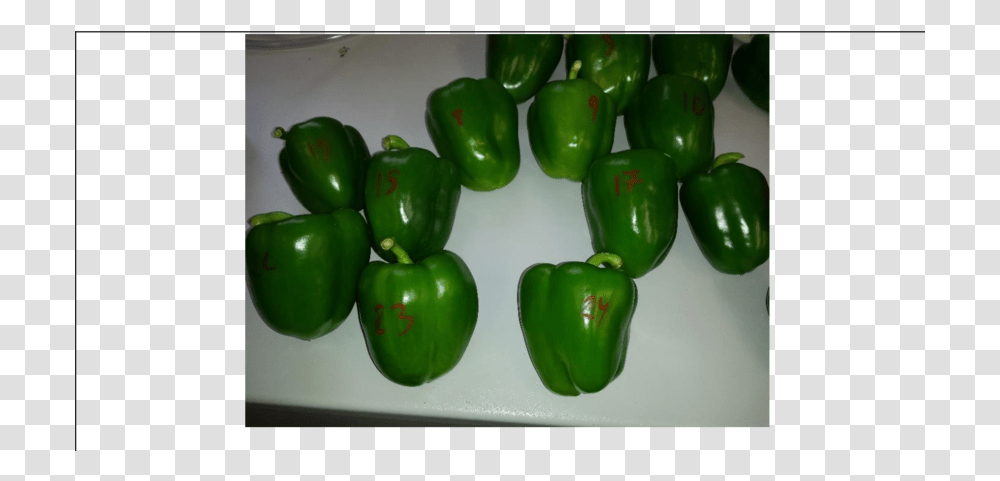 Green Bell Peppers Cupra Green Bell Pepper, Plant, Vegetable, Food Transparent Png