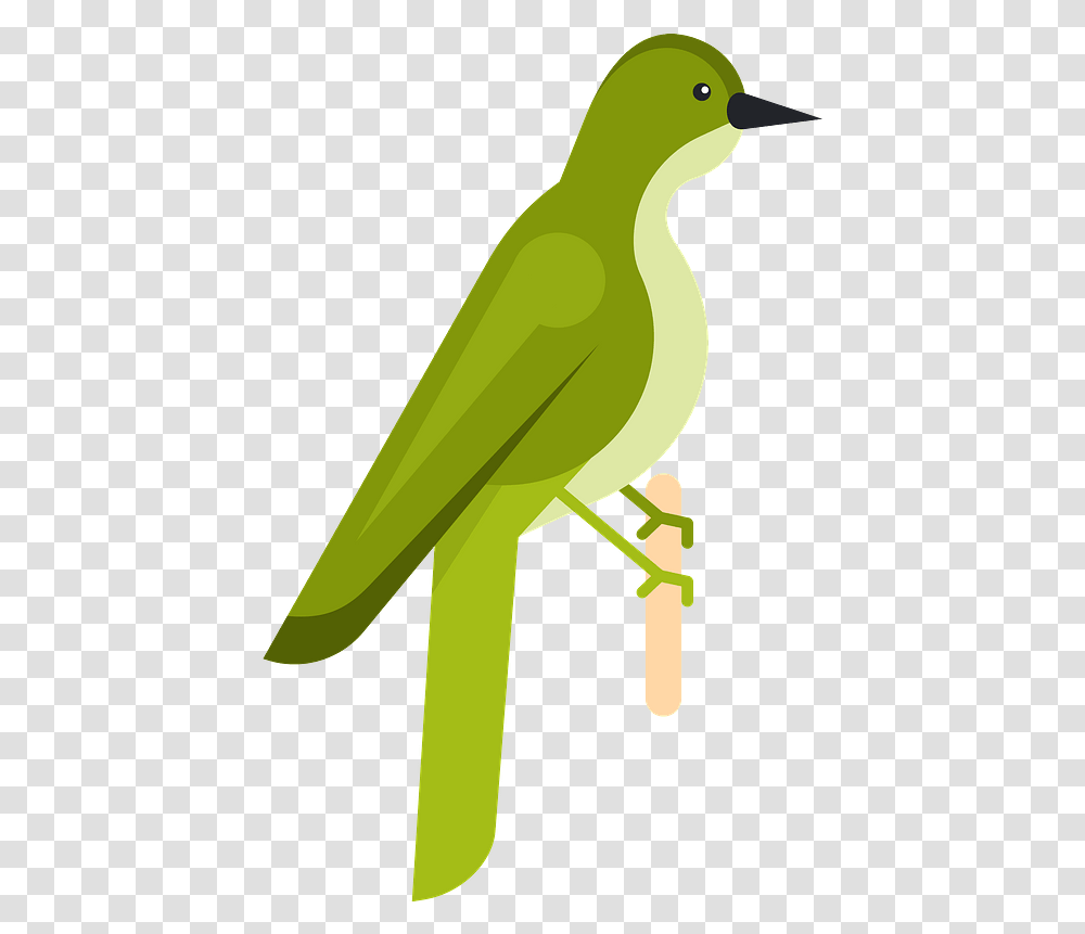 Green Bird Clipart Old World Flycatchers, Animal, Axe, Tool, Finch Transparent Png