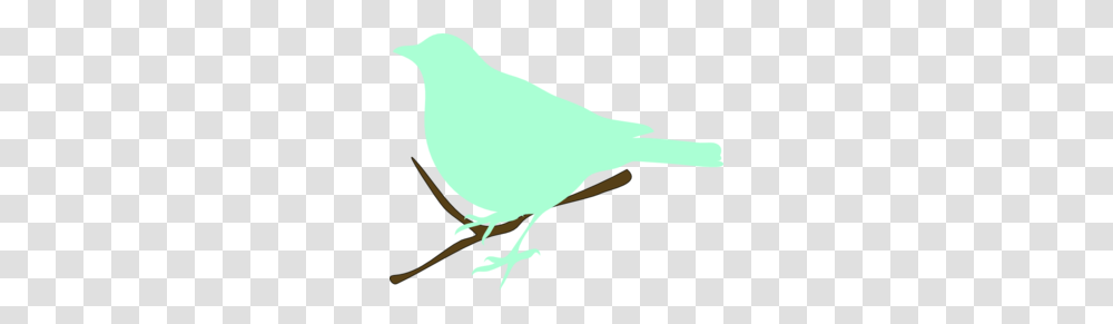 Green Bird On Twig Clip Art, Canary, Animal, Finch Transparent Png