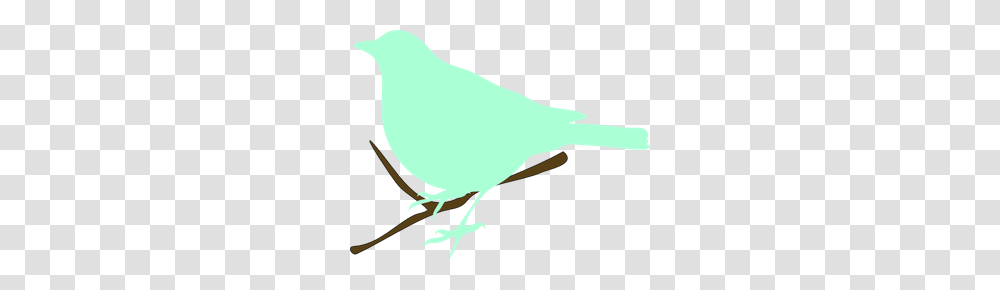 Green Bird On Twig Clipart For Web, Canary, Animal, Finch, Person Transparent Png