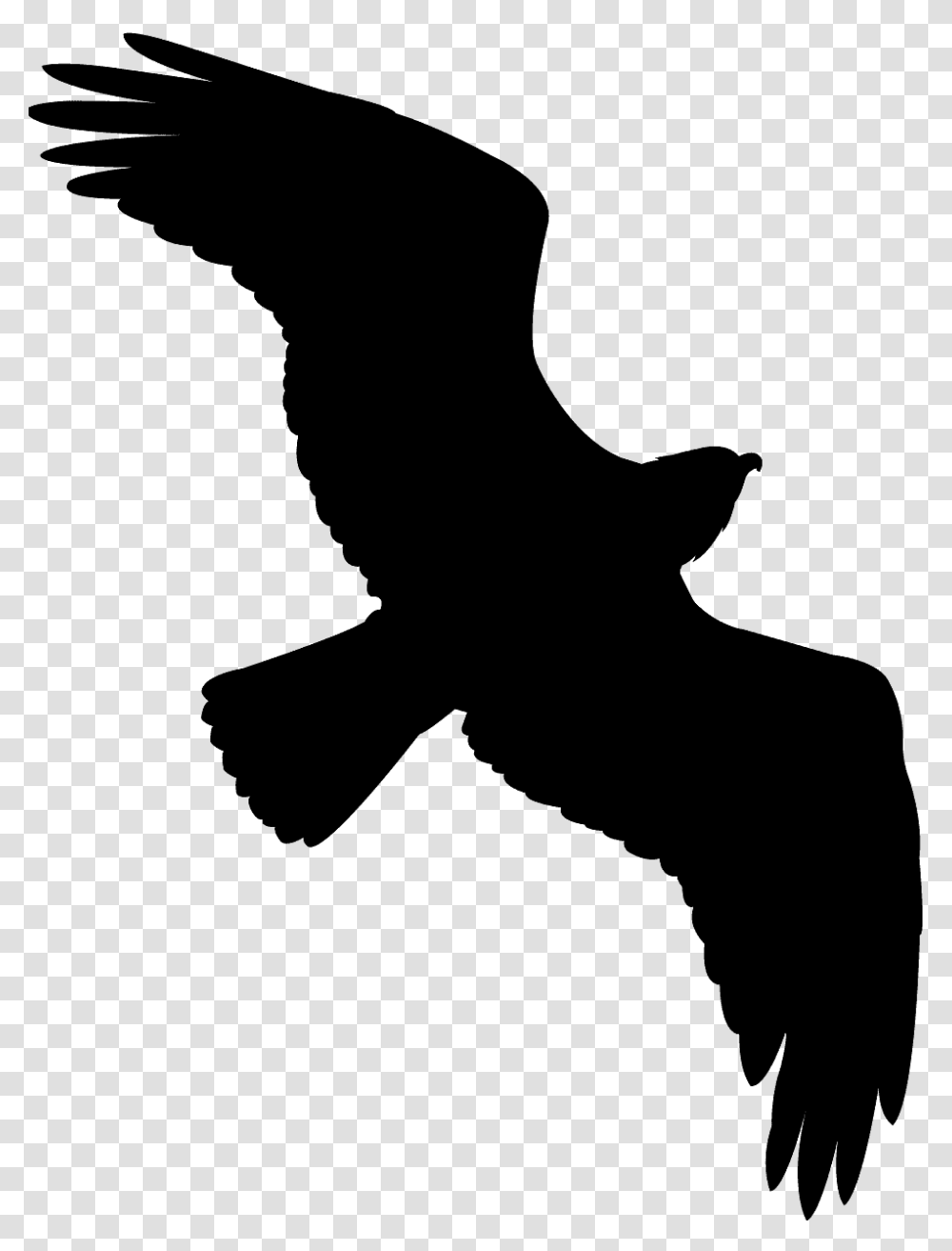 Green Bird Silhouette Flying, Person, Outdoors, Water, Animal Transparent Png