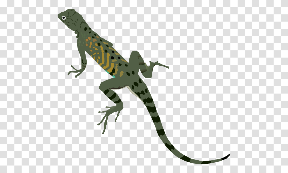 Green Black Lizard Clip Lizard Clipart No Background, Gecko, Reptile, Animal, Giraffe Transparent Png
