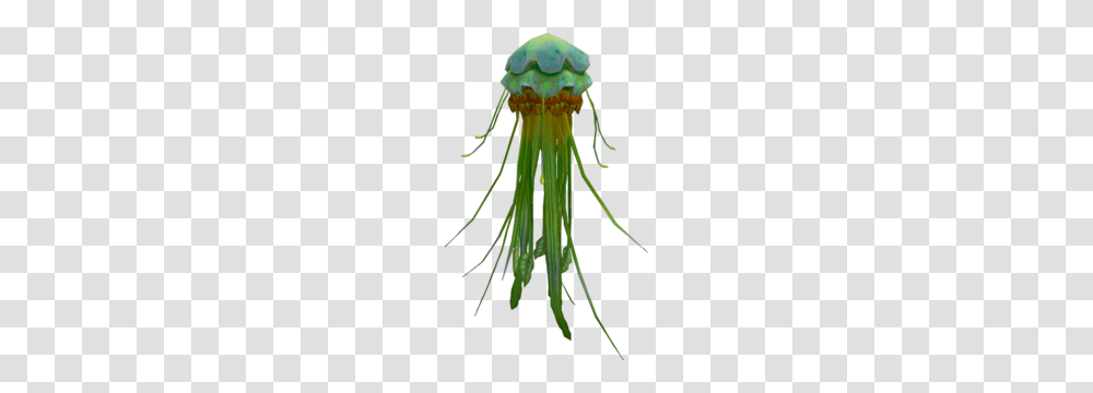 Green Blubber Jellyfish, Plant, Pollen, Anther, Flower Transparent Png