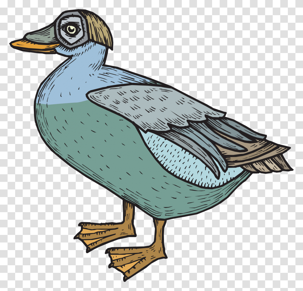 Green Blue Bird Duck Wings Free Image, Waterfowl, Animal, Beak, Dodo Transparent Png