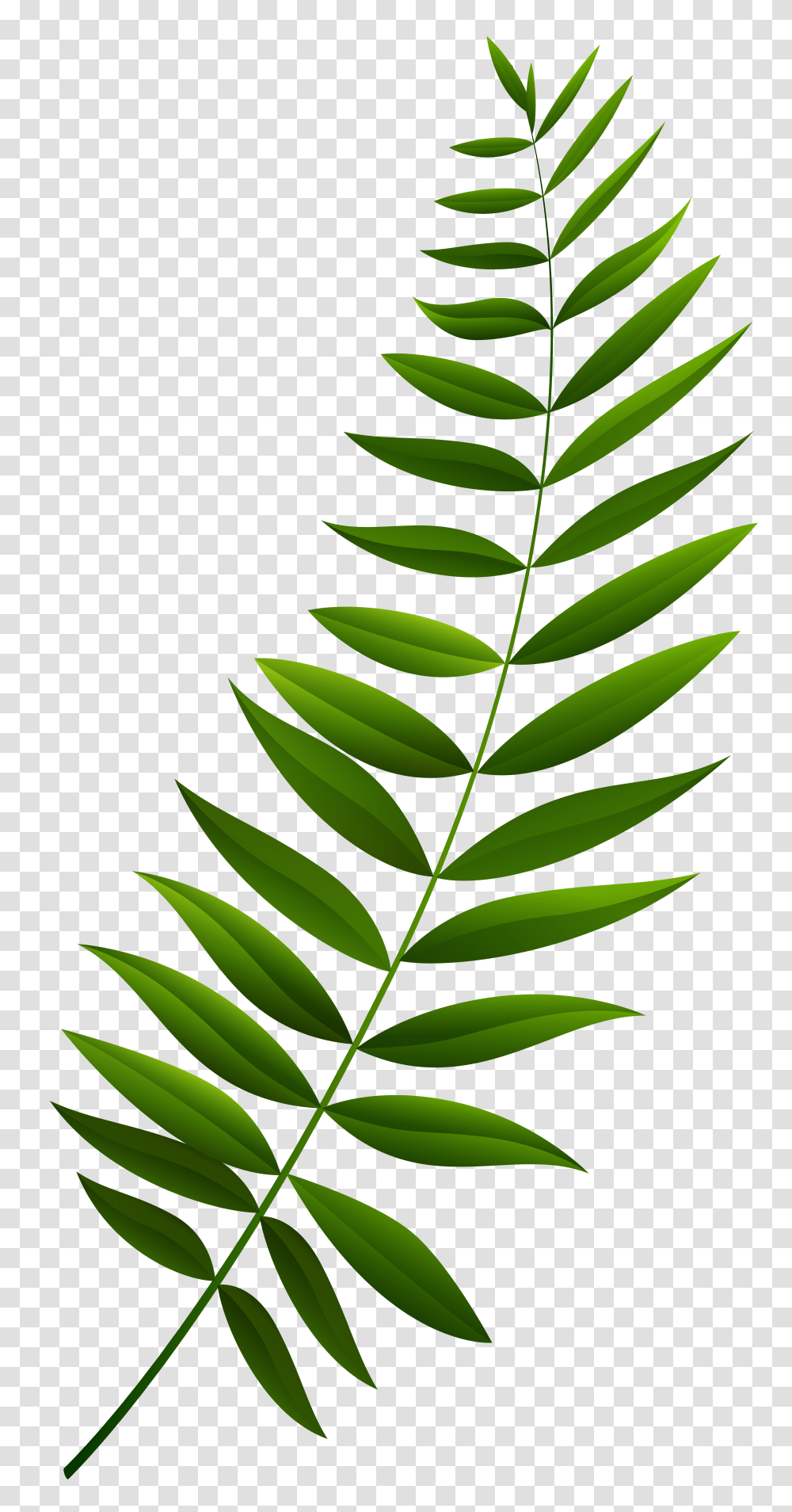 Green Branch Clip Art, Leaf, Plant, Rug, Pineapple Transparent Png