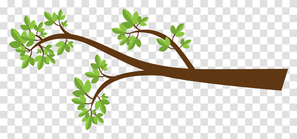 Green Branch Cliparts, Leaf, Plant, Tree, Annonaceae Transparent Png