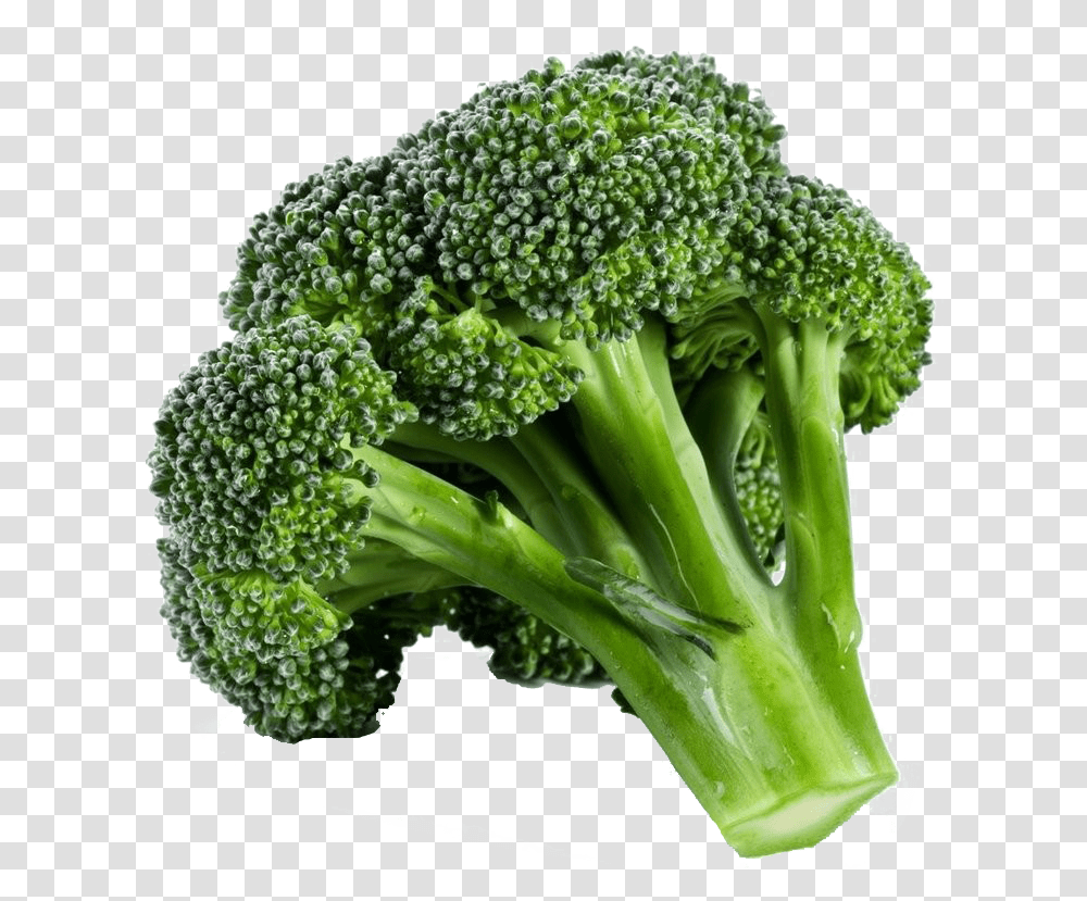 Green Broccoli Background Broccoli, Plant, Vegetable, Food Transparent Png