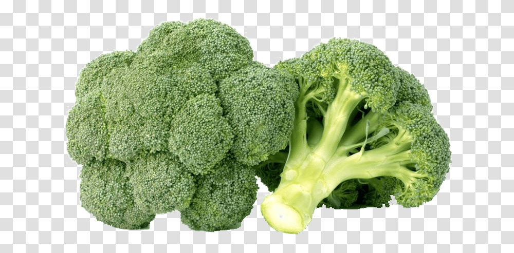 Green Broccoli Free Background Broccoli, Vegetable, Plant, Food Transparent Png