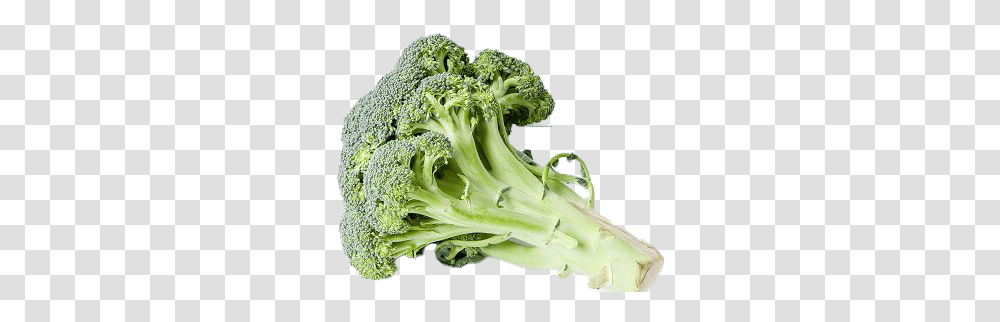 Green Broccoli Hd Photo Broccoli, Vegetable, Plant, Food Transparent Png