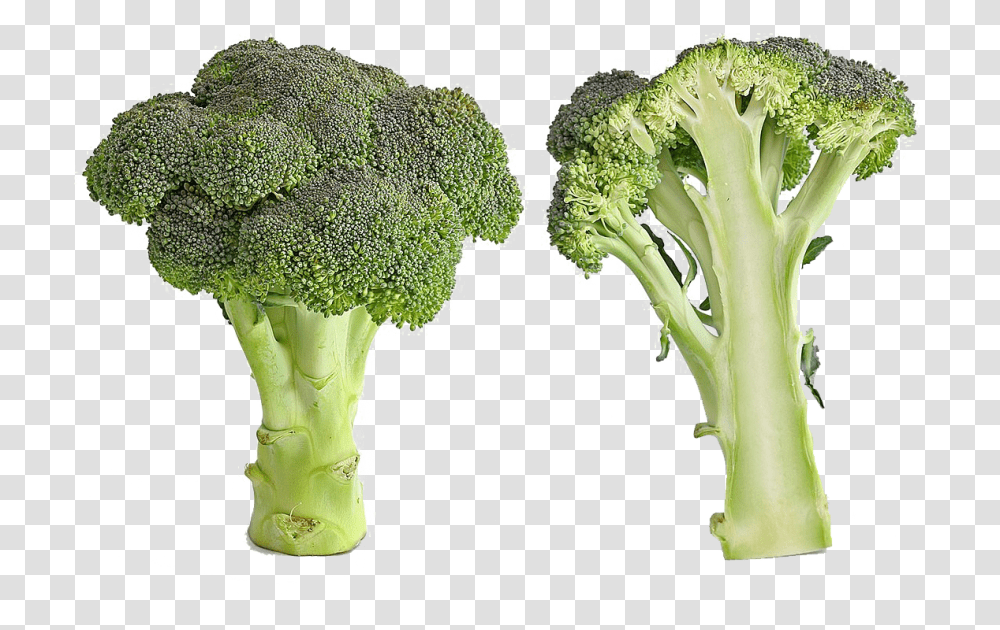 Green Broccoli Image File Bad Broccoli, Vegetable, Plant, Food Transparent Png