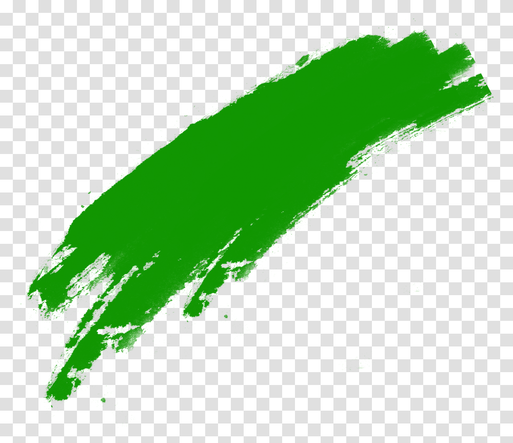 Green Brush, Animal, Plant, Invertebrate, Insect Transparent Png