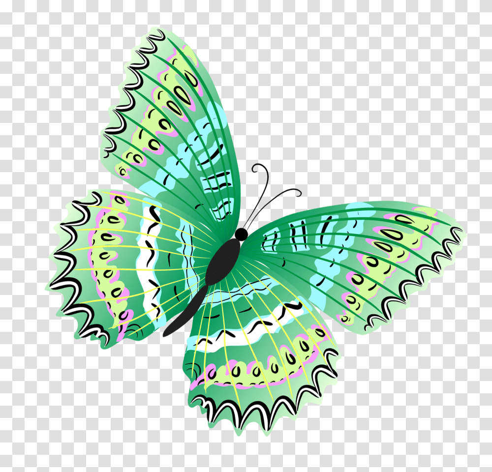 Green Butterfly, Bird, Animal Transparent Png