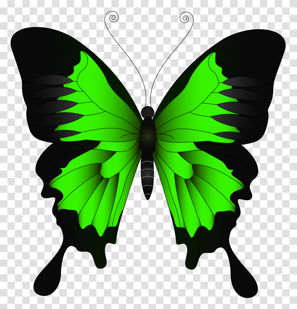 Green Butterfly Clip Art, Insect, Invertebrate, Animal, Pattern Transparent Png