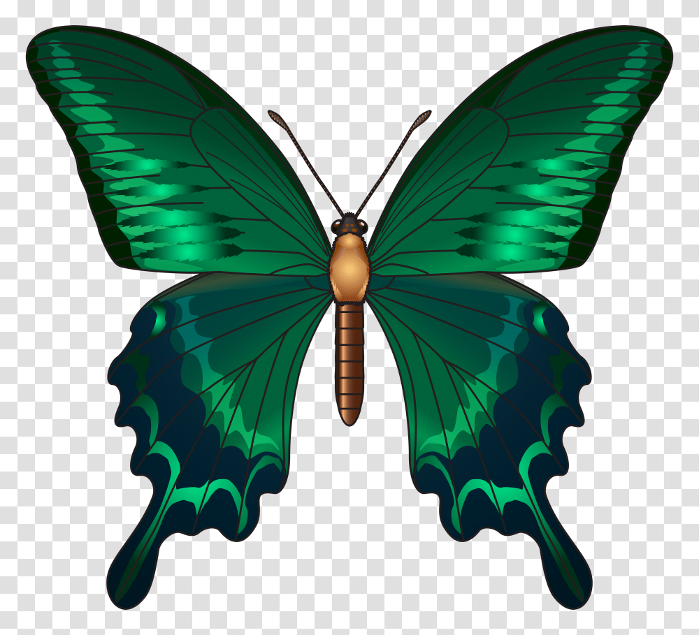 Green Butterfly Clip Art, Ornament, Pattern, Fractal Transparent Png