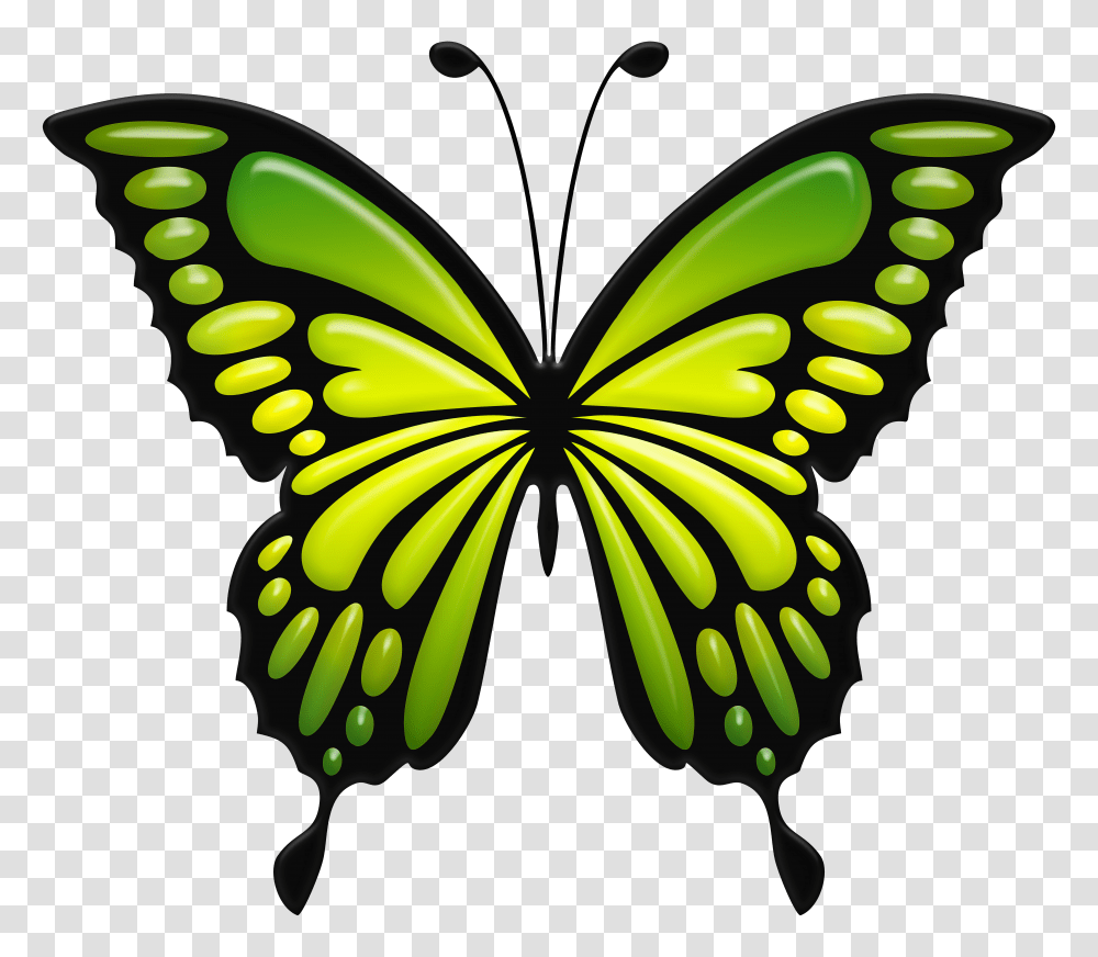 Green Butterfly Clip Art Transparent Png