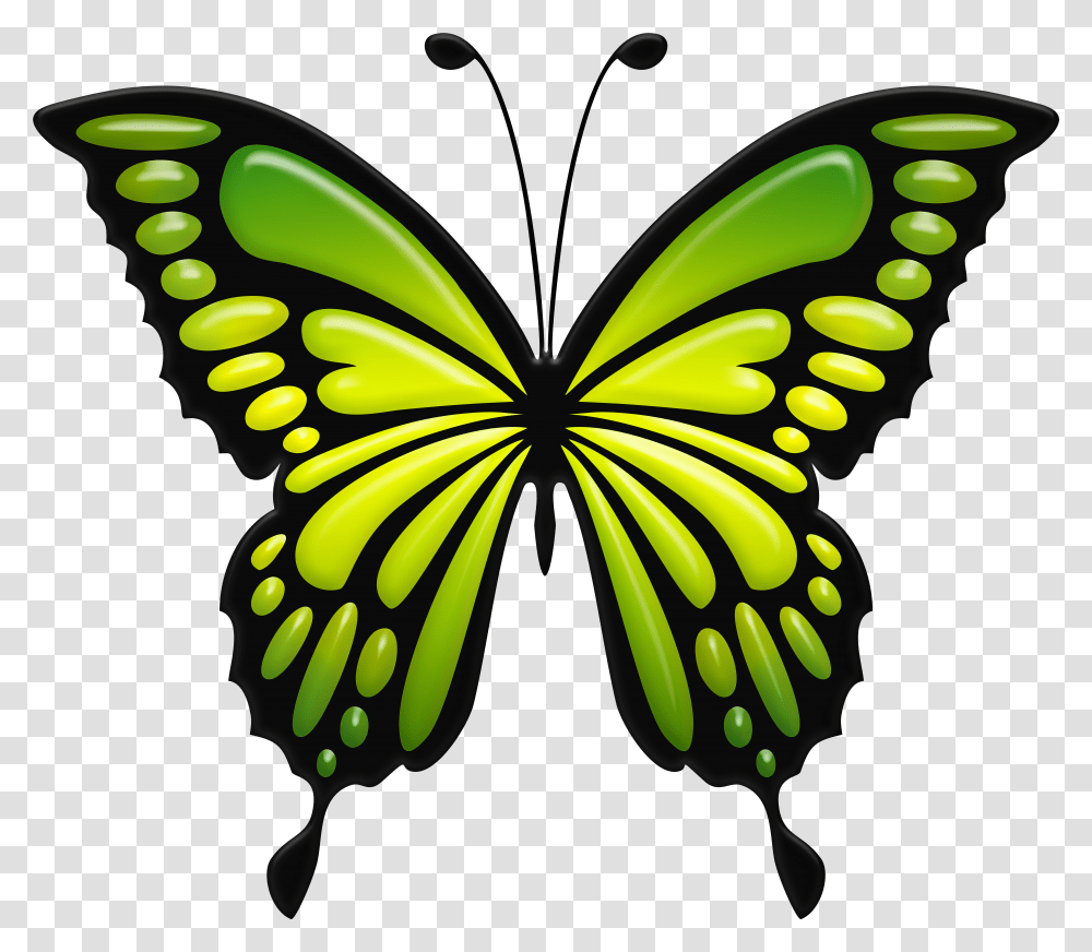 Зеленая Векторная бабочка