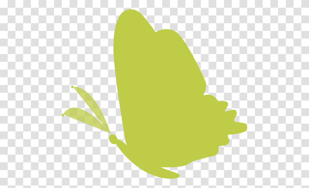 Green Butterfly Images Vector, Tennis Ball, Plant, Leaf Transparent Png