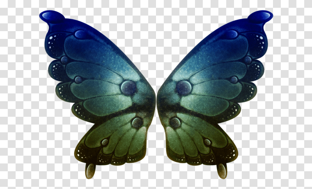 Green Butterfly Wings, Animal, Pattern, Ornament, Sea Life Transparent Png