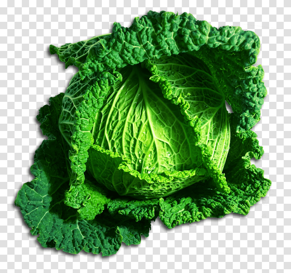Green Cabbage Chou Clipart, Plant, Vegetable, Food, Head Cabbage Transparent Png