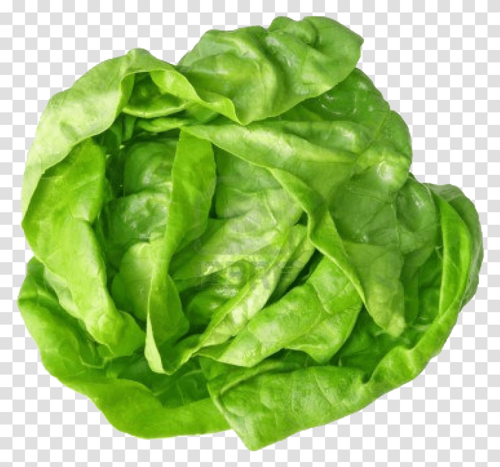 Green Cabbage Free Image Download, Plant, Vegetable, Food, Lettuce Transparent Png