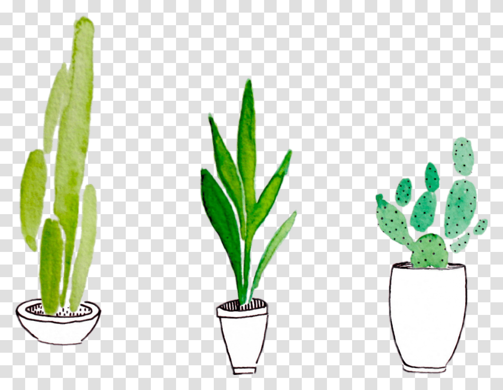 Green Cactus Sticker Watercolor Paint, Plant, Aloe, Leaf, Flower Transparent Png