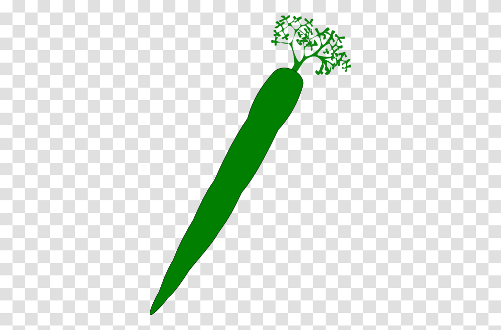 Green Carrot Clip Arts For Web, Plant, Food, Vegetable, Cucumber Transparent Png