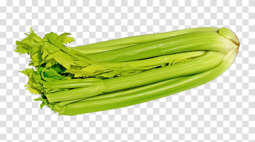 Green Celery Image, Vegetable, Plant, Food, Produce Transparent Png